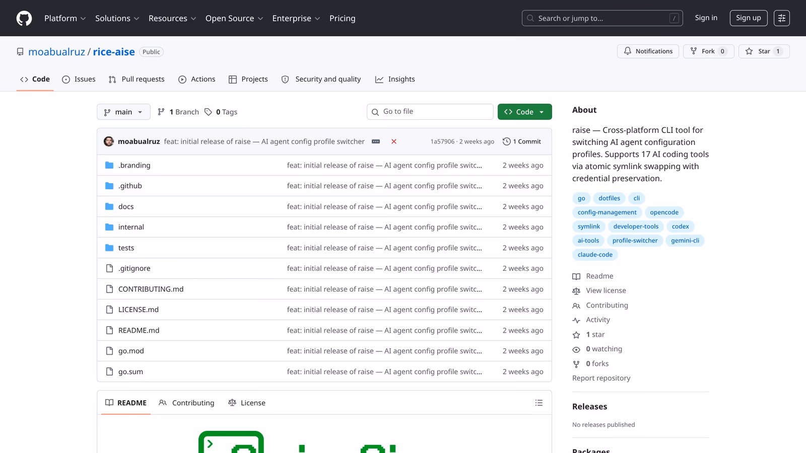 Screenshot of the raise (rice-aise) GitHub repo page showing the Go CLI project
