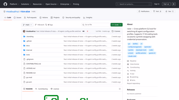 Screenshot of the raise (rice-aise) GitHub repo page showing the Go CLI project